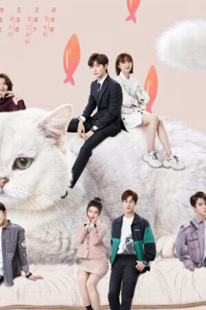 Tập 22 Bất Cẩn Meow Phải Anh - Accidentally Meow On You (2022)-Accidentally Meow On You
