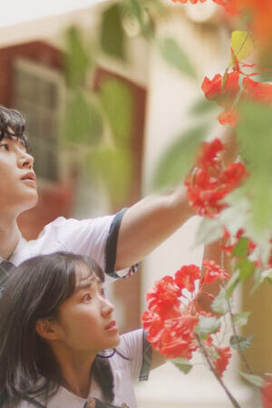 Tập 12 Cậu Thật Phi Thường - Extraordinary You (2019)-Extraordinary You