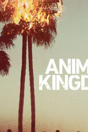 Tập 7 Vương quốc động vật ( 1) - Animal Kingdom (Season 1) (2016)-Animal Kingdom (Season 1)