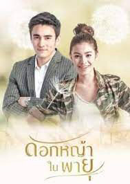 Tập 26 Hoa Cỏ Lau Trong Bão - Grass Flower In The Storm (2018)-Grass Flower In The Storm