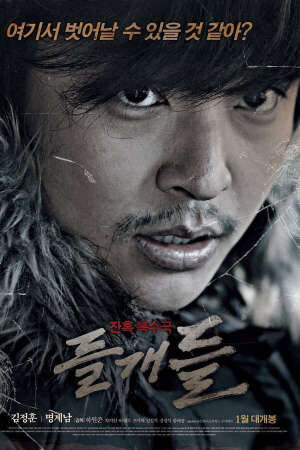 Tập full Ngôi Làng Tội Lỗi - Stray Dogs (2014)-Stray Dogs