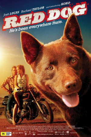 Tập full Chú Chó Trung Thành - Red Dog (2012)-Red Dog
