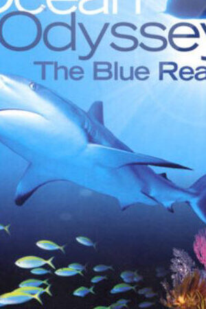 Tập 03-tentacles Ocean Odyssey The Blue Realm - Ocean Odyssey The Blue Realm (2004)-Ocean Odyssey The Blue Realm