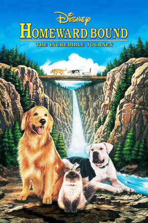 Tập full Hành Trình Về Nhà - Boonie Bears Homeward Journey (2012)-Boonie Bears Homeward Journey