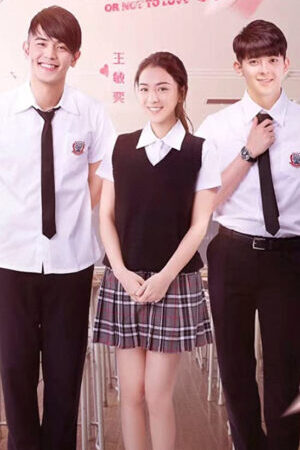 Tập full Yêu Hay Không Yêu - To Love or Not to Love (2017)-To Love or Not to Love