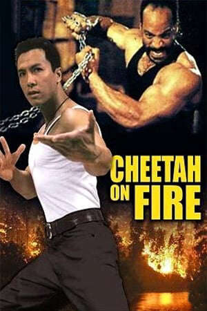 Tập full Liệp Báo Hành Động - 獵豹行動Cheetah on Fire (1992)-獵豹行動Cheetah on Fire