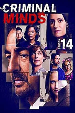 Tập 15 Hành Vi Phạm Tội ( 14) - Criminal Minds (Season 14) (2018)-Criminal Minds (Season 14)