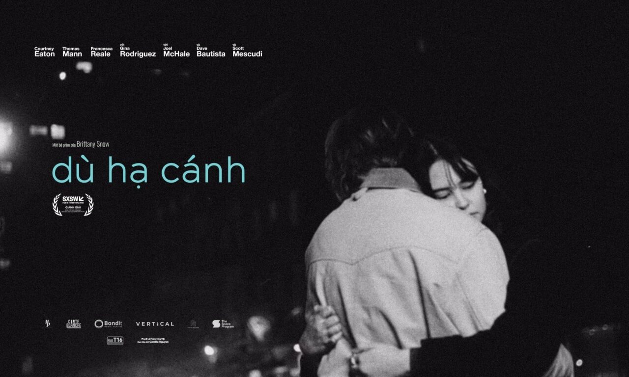 Poster of Dù hạ cánh