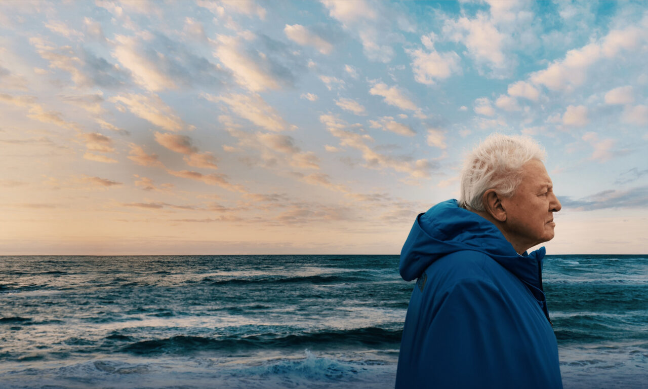 Poster of Ocean with David Attenborough