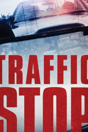 Xem phim Vụ Dừng Xe  - Traffic Stop (2017)