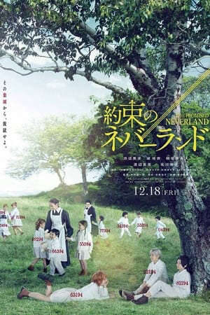 Xem phim Miền Đất Hứa (Live Action)  - 約束のネバーランドThe Promised Neverland (2020)