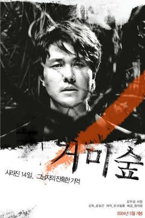 Xem phim Rừng Nhện  - Spider Forest (2004)