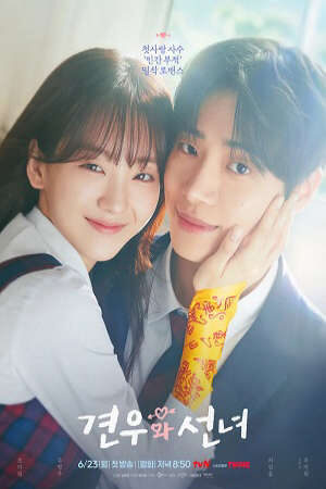 Xem phim Ngưu Lang Chức Nữ  - Head Over Heels (2025)