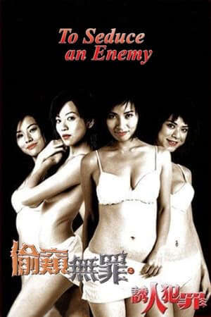 Xem phim Tội Cám Dỗ  - To Seduce An Enemy (2003)